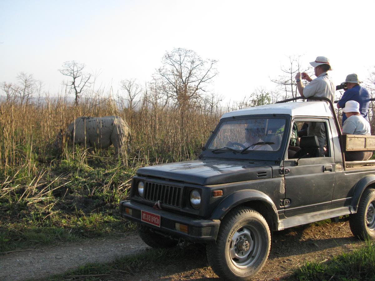 Rhino Land Jungle Lodge سوراها المظهر الخارجي الصورة