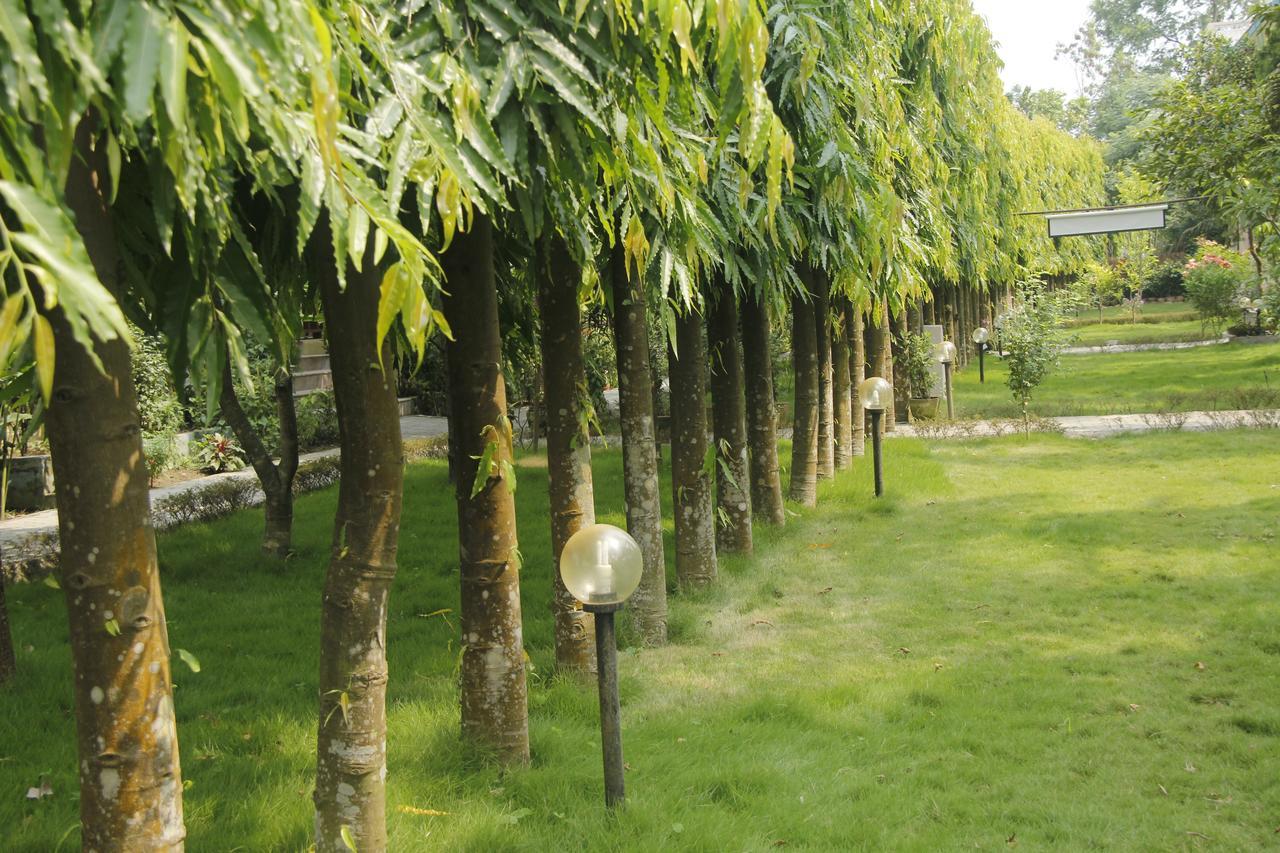 Rhino Land Jungle Lodge سوراها المظهر الخارجي الصورة