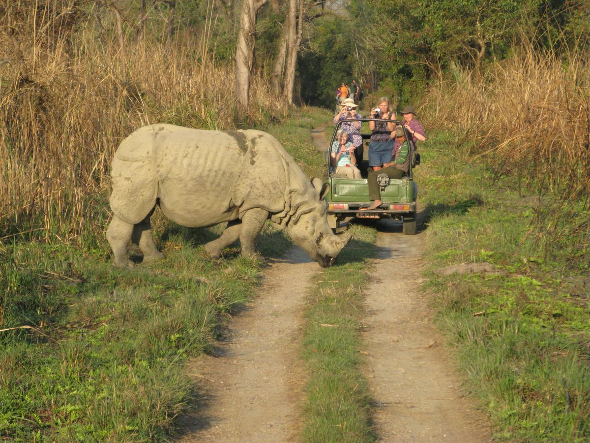 Rhino Land Jungle Lodge سوراها المظهر الخارجي الصورة