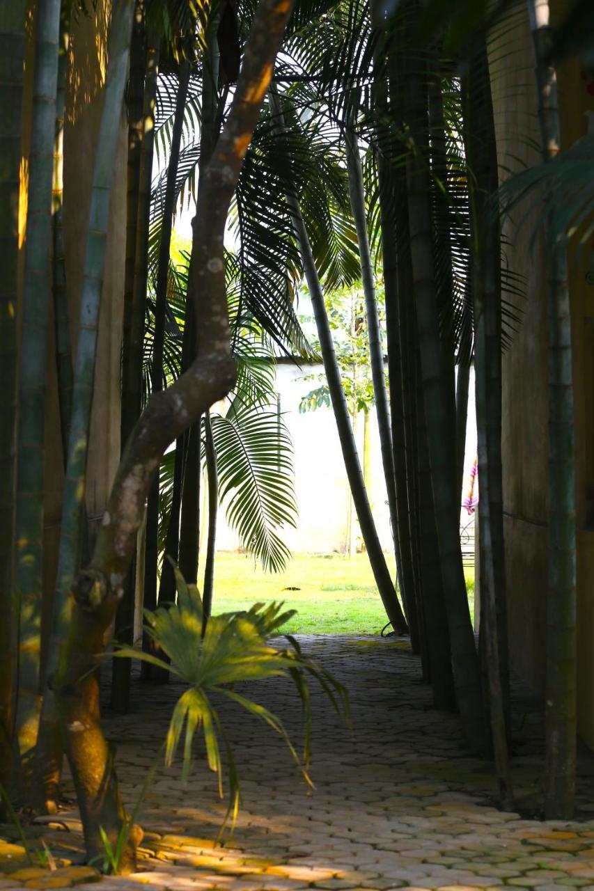 Rhino Land Jungle Lodge سوراها المظهر الخارجي الصورة